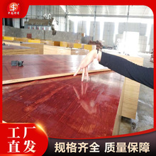 Bģl VBģľ ߰˾ŌӰ SҺs