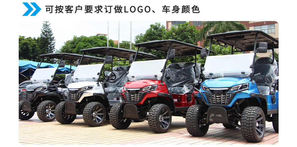 2-Seater Golf Cart, Cross-Border Sightseeing Vehicle, Tourist Attraction Hotel Shuttle Bus, Golf Course Ball-Picking Cart, Golf Cart