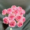 Rose gradient red