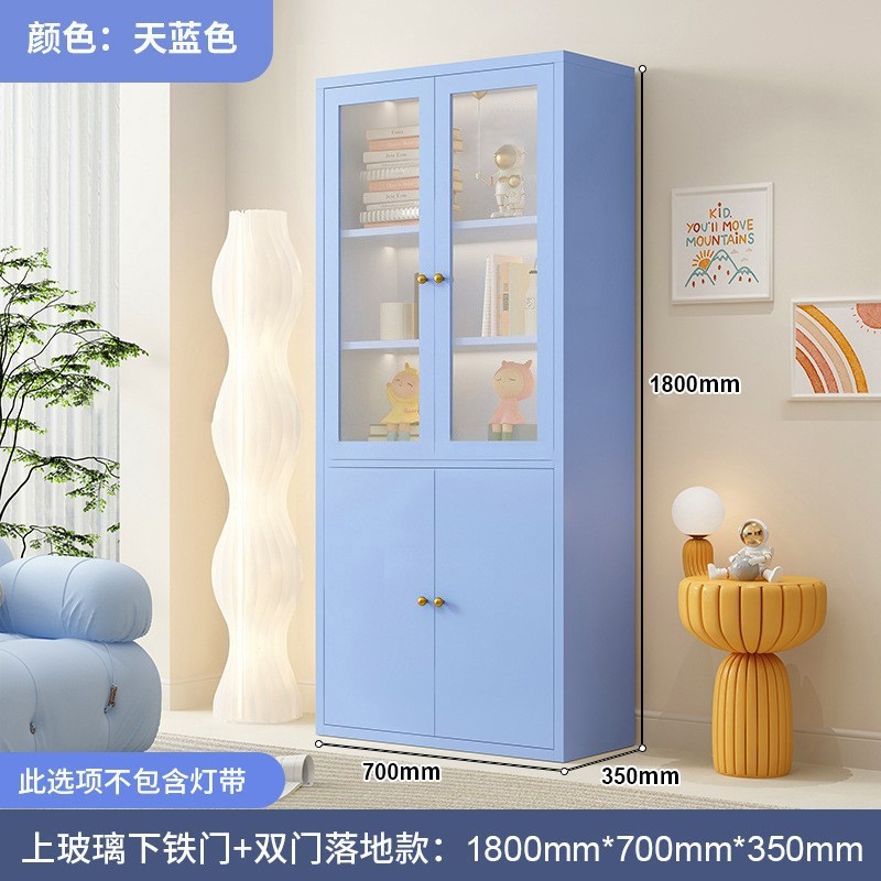 钢制书柜玻璃门防尘书架简约现代铁艺置物柜客厅储物柜家用展示柜|undefined