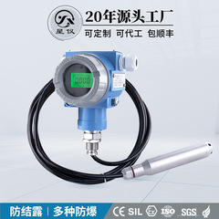 星計CYW12C防護型液位発信器HART液位計防湿防爆投入式水位センサ