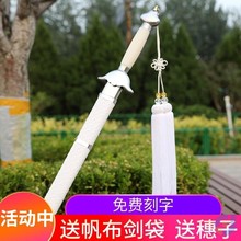 剑古风道具女式太极剑武术练功铁宝剑古代半硬练舞剑表演出未开刃