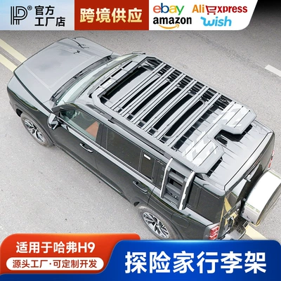 Multifunctional Ladder Side Account Equipment – Roof rack