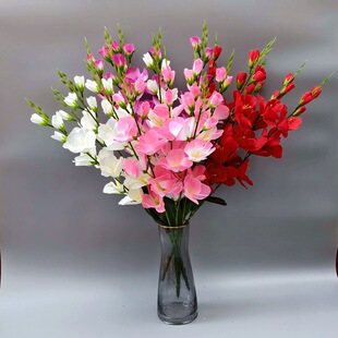 ���滨�Wʽ��ɫ5��ф��m�� ��֧���m���滨�������m���컨�羳