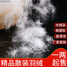 散装羽绒毛国标大朵白鸭绒服白鹅绒被原料填充物优质中小朵