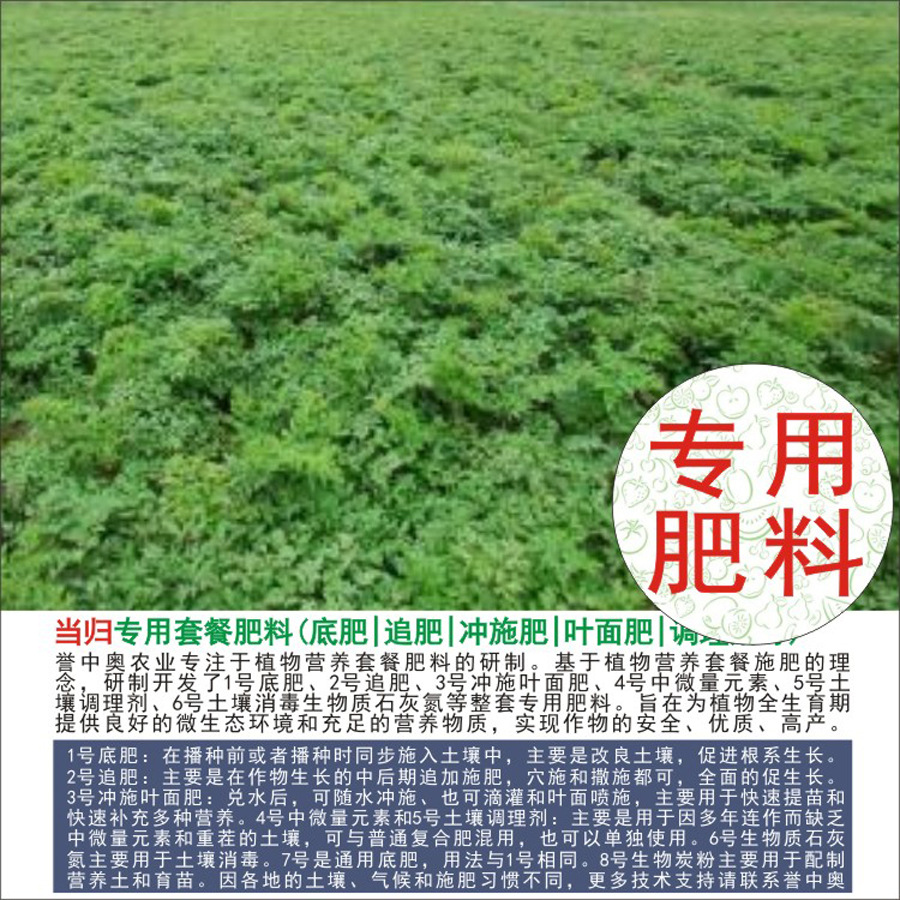 50�����аµ���ר���л��ʸ��Ϸʵ׷�׷��Ҷ��ʳ�ʩ��ˮ�ܷ�