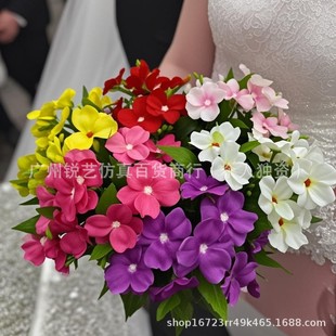 �P�ɻ��羳���滨�ٻ������Ҿ��b[�����Ⲽ���������Gֲ���l