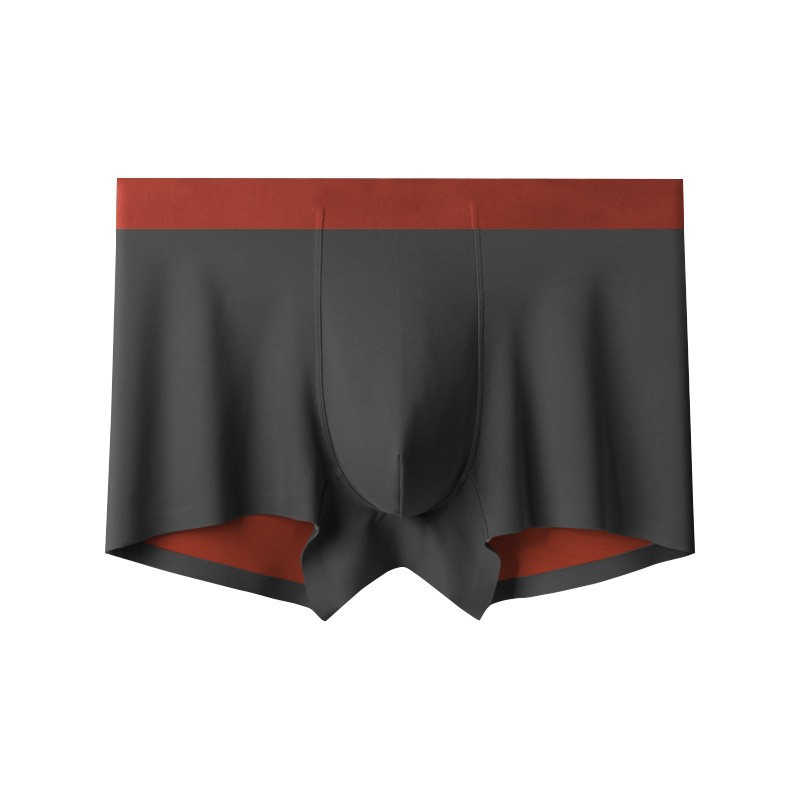Men's Seamless Underwear Boxer Shorts 2023 Autumn and Winter Double-sided Men's Underwear Silk Lined Light Luxury