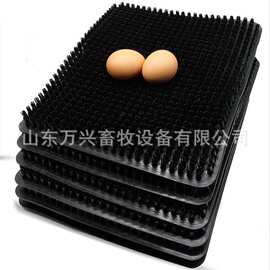 万兴畜牧24穴产蛋箱用人工草垫纯原料图片产地货源草垫子尺寸价格