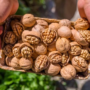 �½�185��Ƥ���� �¼�Ƥ��Ƥ���Ұ����K ��ԭζ�������ұ�����؛