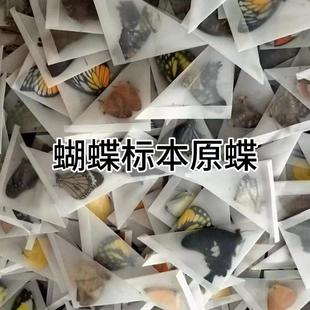 ������˱�����ԭ��δչ���W���ֹ�diy�������x�˱��P��ԭ�x͐��