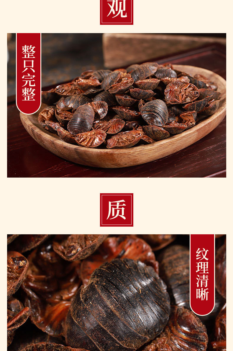 Tu Yuan (Eupolyphaga sinensis) — Dried Ground Beetle Herb, Food-Grade, Powder Available key features