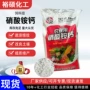 滴灌水溶硝酸铵钙有机肥硝酸铵钙