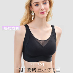無痕の大きいサイズの大きい胸は小さい胸の下着の女性を現します。
