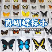 �����˱��[���ֹ����x�˱��b�Ʒչ��������˱��W���������նY��