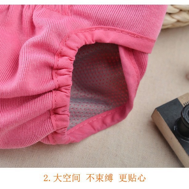 Perro mascota Velcro ropa interior pequeño mediano y grande perro Teddy Golden Retriever perro caminando perro anti-acoso fisiológico Pantalones