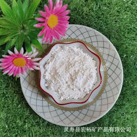 负离子粉 超细白色负离子粉末 纺织涂料陶瓷用纳米负离子能量粉