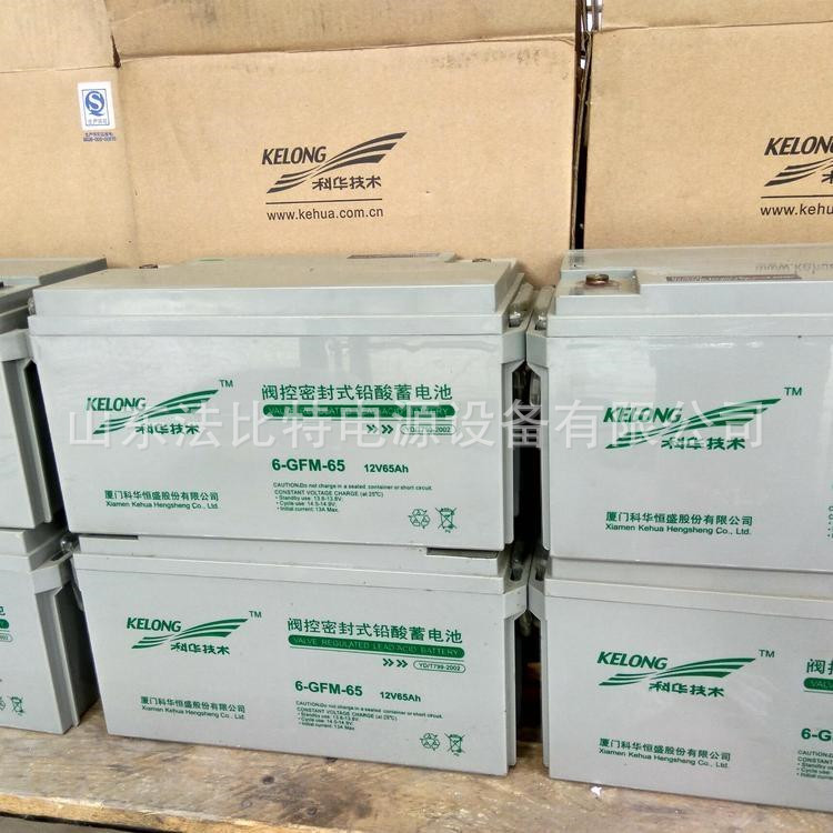 科华电池6-GFM-65-YT免维护12V65AH光伏发电 科华电池6-GFM-65-YT