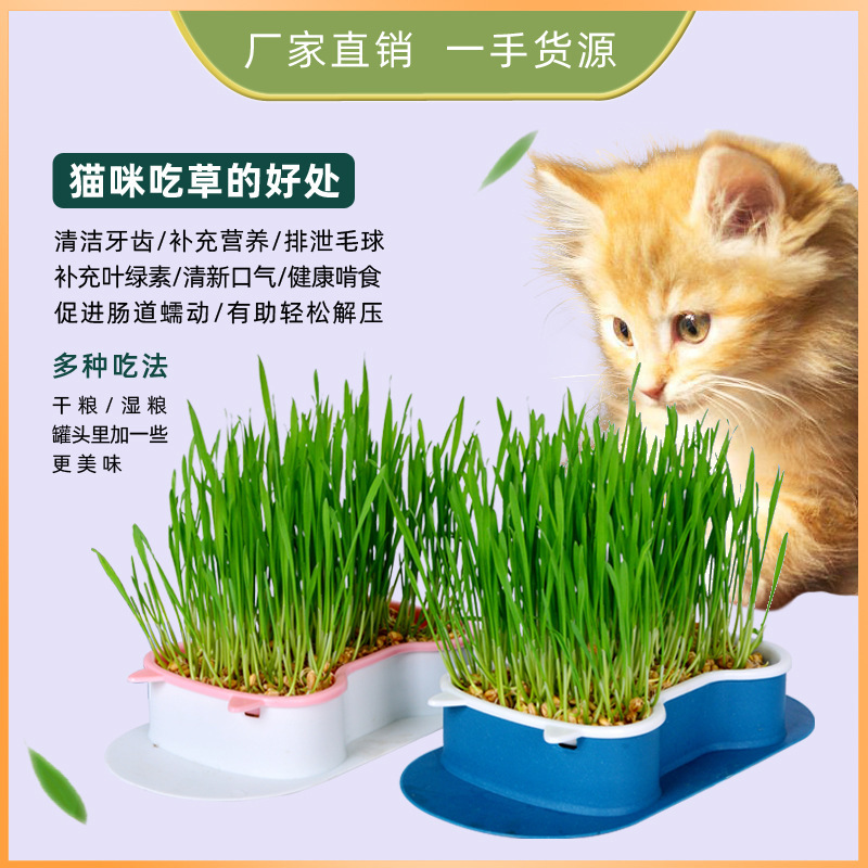New cat grass potted lazy soilless hydroponic planting box cat grass pot wheat seed cultivation plate cup set Wholesale New cat grass potted lazy soilless hydroponic planting box cat grass pot wheat seed cultivation plate cup set Wholesale