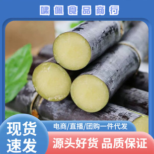 �V����Ϻ�Ƥ����ˮ�������������]������ˮ����Ƥ����һ�����l