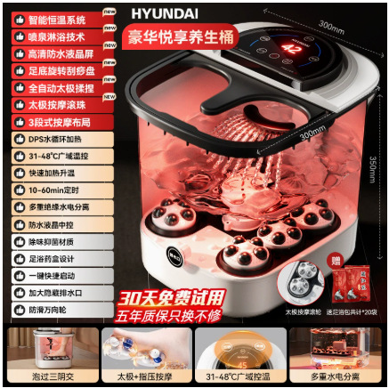현대 DDQ03 족욕기 (C 화이트)