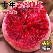 正宗老树血桃新鲜当季水果现摘桃子5斤红心毛桃时令孕妇脆桃整箱