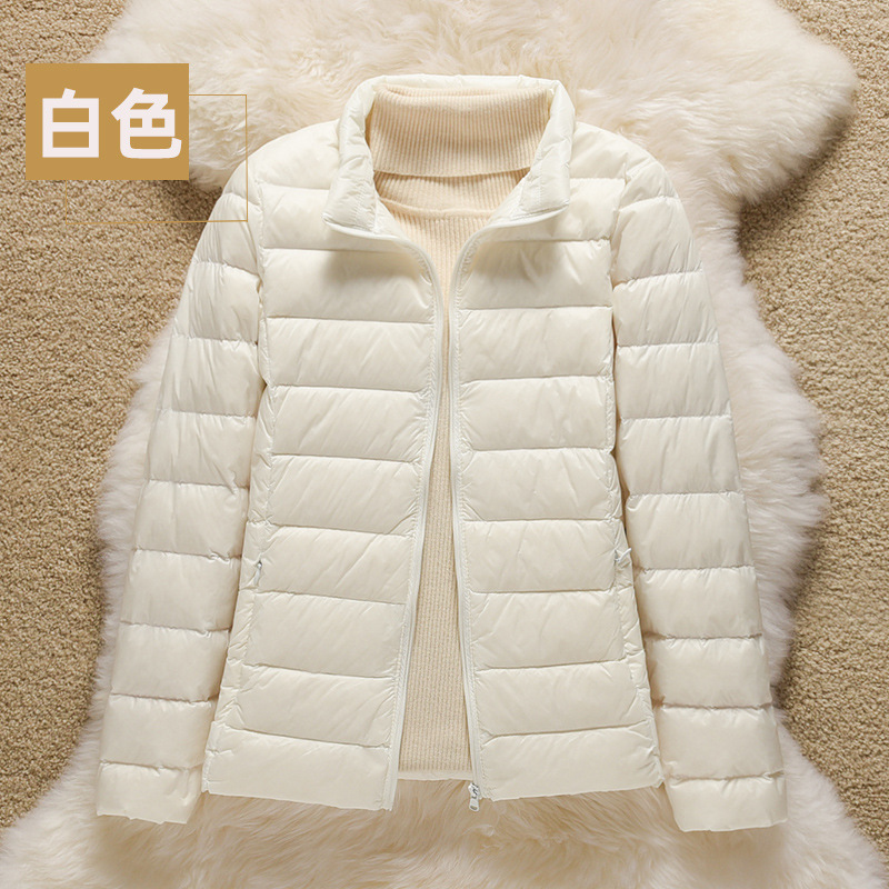 화이트(스탠드 칼라)