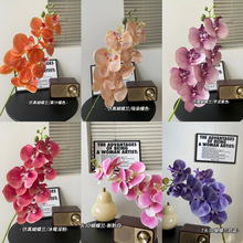 �S��ֱ�N3D��ӡ���滨�����m�ָ��zƬ�Ҿ��b���b[��滨�ٻ�