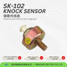 ������CHEVROLET ���𴫸���10456001 213232 KS22
