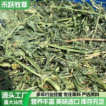 2025���M����ޣ��ţ���R���ݸɄ���@�ò����ϻ���ޣ��