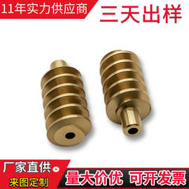 定制蜗杆 0.1-1.5模数1234头 黄铜蜗轮蜗杆减速机 小模数非标零件