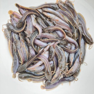 ����һ�������~�������X�~������T�~�������X�~��ʭ�~���w��ˮ