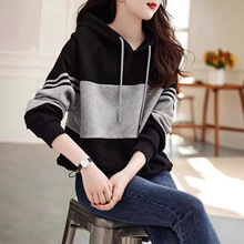 ��ɫ�Bñ�l������Ů2026�����¿��n�挒��ײɫ�l�yƴ�����e���³�