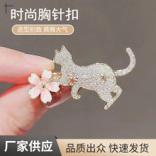 �ߙn�������I��V�I���߹�����Y��ᘄeᘿ۹̶��·�Ů�I����