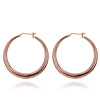 Fashionable glossy earrings, golden jewelry, simple and elegant design, European style, pink gold