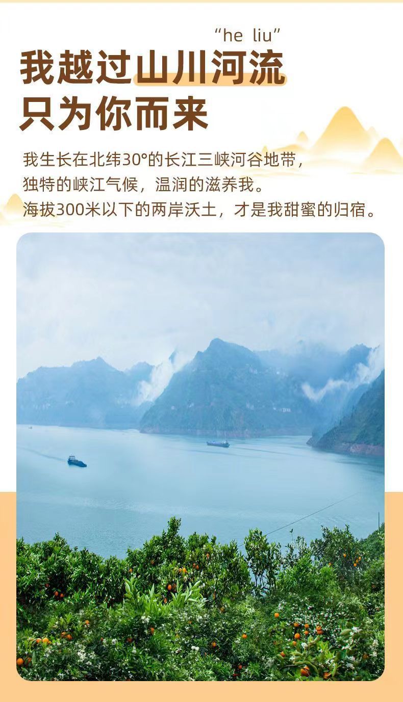 微信图片_20240320165322