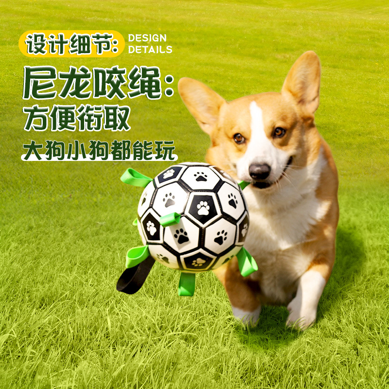 Borde de la bola del perro cría de animales juguete Golden Retriever Labrador Corgi entrenamiento del perro Bola Especial para mascotas bola juguete para perros suministros para mascotas image 4