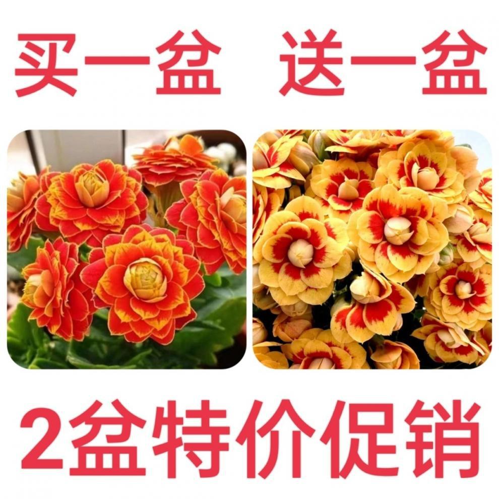 7a5e1c55-31df-4186-a170-3c27c39d3cdb.jpe