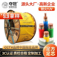 ƊZ|SӹNH-YJV4 6 10 16 25ƽ~о|