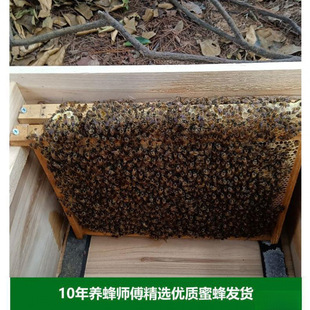 �۷��Ⱥ�Ў���������Ⱥ�����A���з����Bֳ���ۻ��w���η�Ƣ����