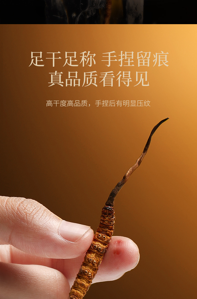 Premium Cordyceps Gift Box Dong Chong Xia Cao 5g Wild-Harvested Qinghai Origin Whole Stems in use