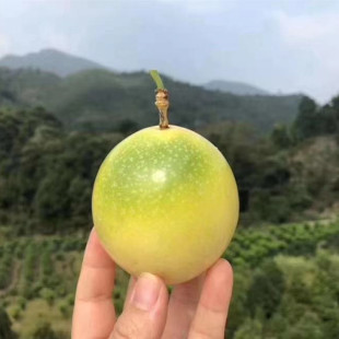 ���J��9̖�S���������Ԏ�����5����������rˮ�����l���l