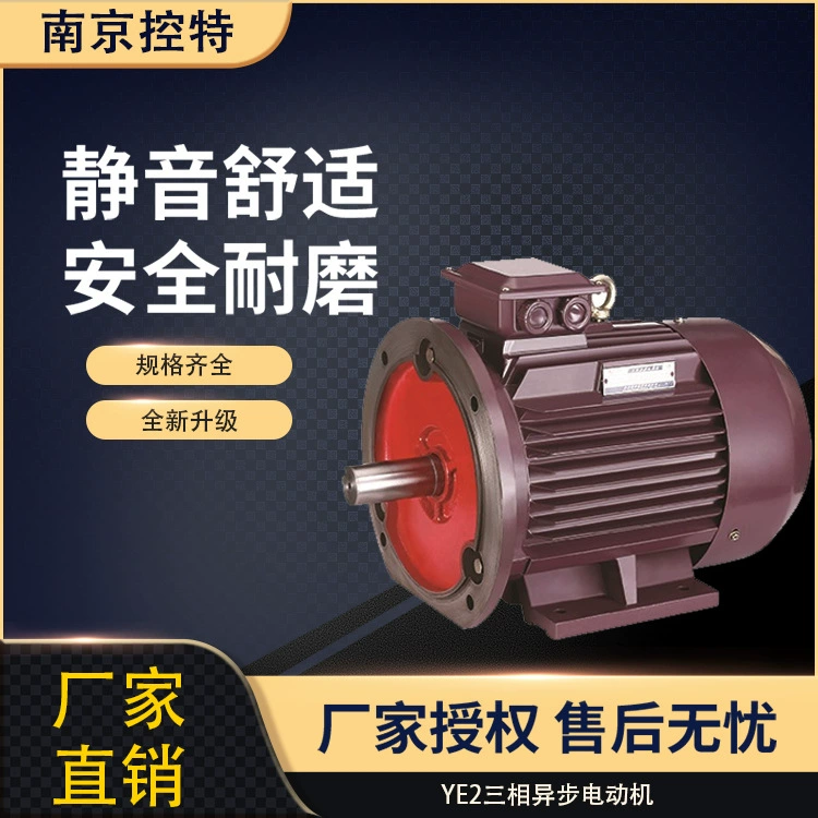 Нанкин управления двигателем Завод прямых продаж YE2 серии 0,25/0,55/0,75 кВт трехфазный асинхронный двигатель
