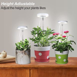 3.5inch Angel Ring Timed Dimmable Full Spectrum Indoor Plant Grow Light for Succulents