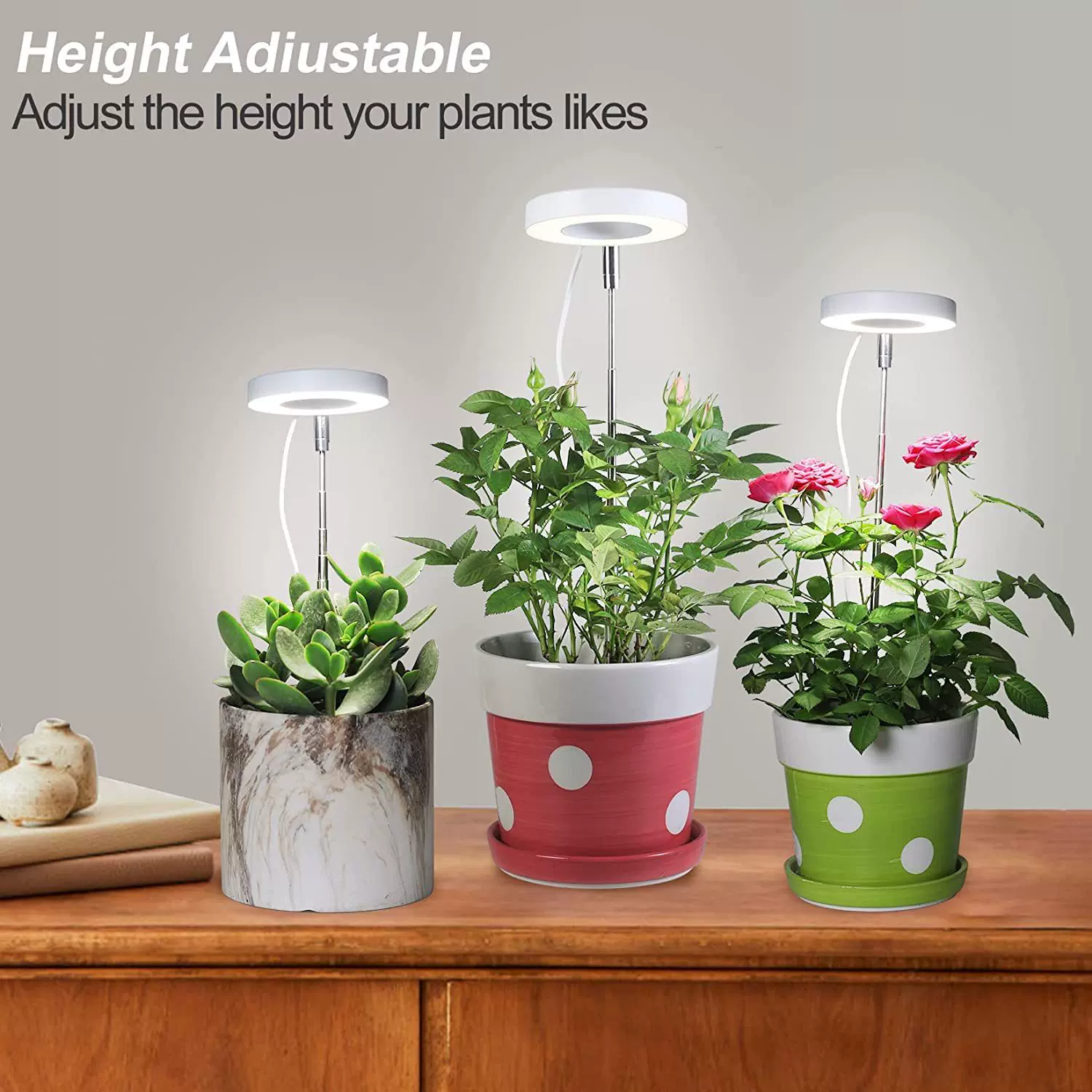 3.5英寸天使环定时调光调色全光谱多肉室内植物生长灯led多肉适用