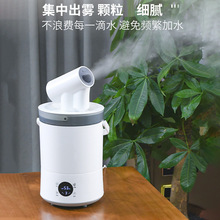 外贸跨境加湿器香薰雾化器家用空气加湿机静音便携式加湿器批发
