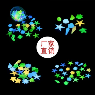 荧光海洋石水族鱼缸造景发光石子3号生物贝壳海螺夜光石荧光夜光