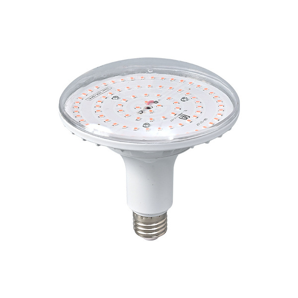 LED fill light
