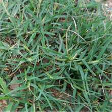 �͸��ݷN�� �F���� �o�²��� ���ز� �O���� �o�·N�ӷ�ˮ����ʧ