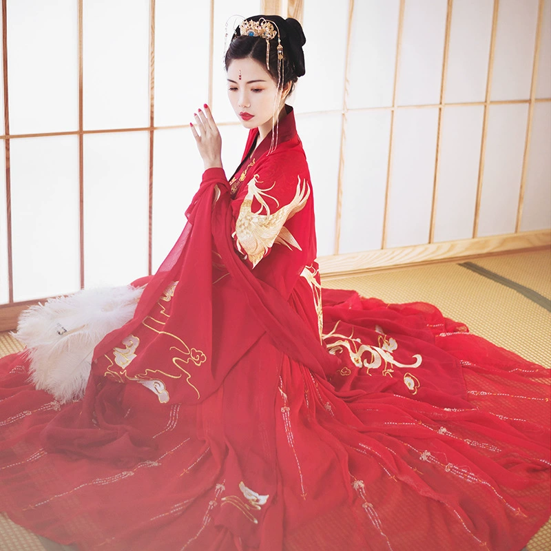 Оригинальный новый спот Feng Lingyun женская вышивка с большим рукавом рубашка с принтом 6 м большой маятник юбка костюм 8001